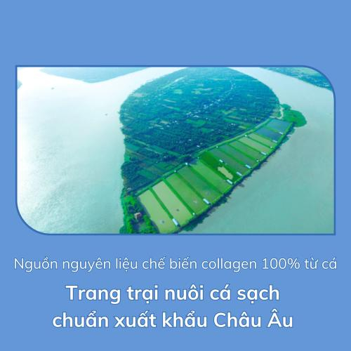 Chiết xuất từ 100% từ da cá