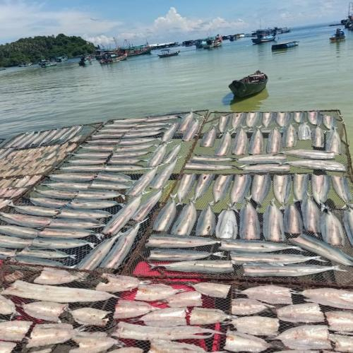 Mua khô cá chất lượng