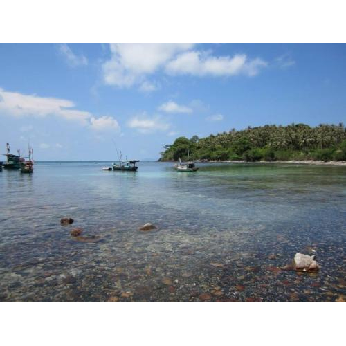 Nguồn cá biển tươi