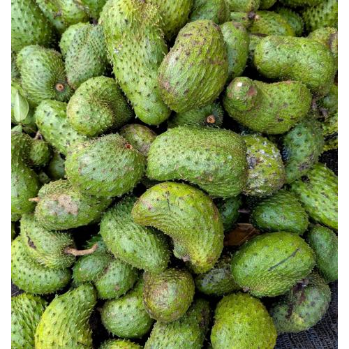 Mãng cầu xiêm là gì?