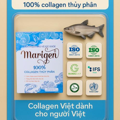 Bột collagen hoạt động như thế? 