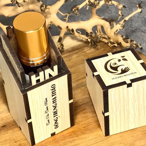 Muỗi là gì? Muỗi hoạt động mạnh vào thời gian nào?