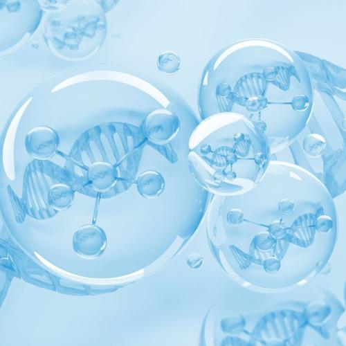 Collagen Tươi Là Gì? Khám Phá 5 Lợi Ích Của Collagen Tươi Đối Với Làn Da