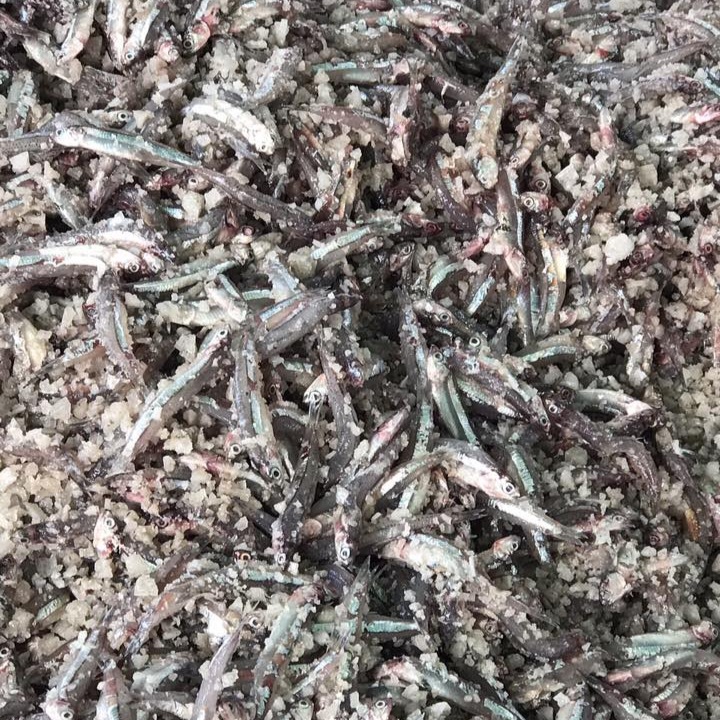 Khô cá cơm có ưu điểm gì?