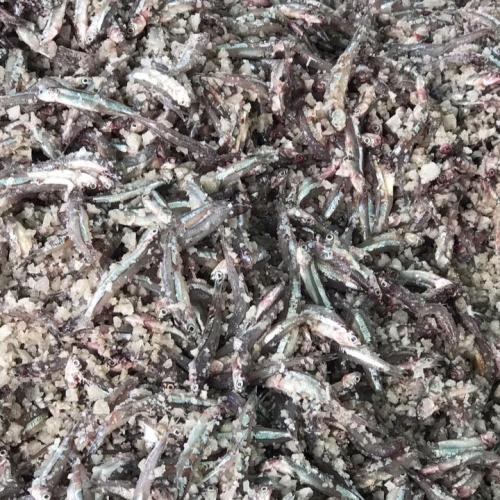 Khô cá cơm có ưu điểm gì?