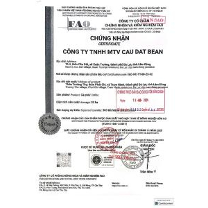 TCB cà phê vàng phin giấy Arabica Yellow