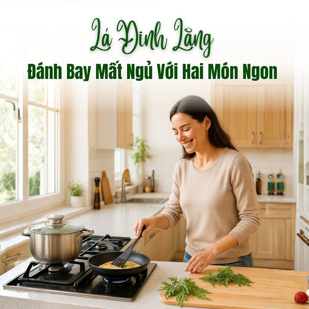Đánh Bay Mất Ngủ Với Hai Món Ngon Từ Lá Đinh Lăng