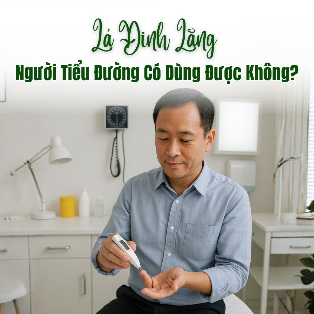 Tiểu Đường Uống Lá Đinh Lăng Được Không?