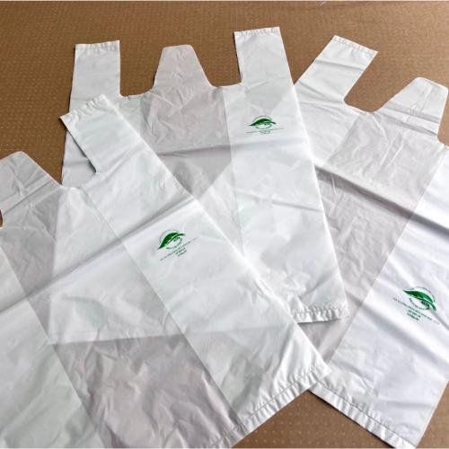 Giải Pháp Xanh Cho Doanh Nghiệp: Túi Nylon Tự Phân Hủy Sinh Học Phương Lan – Đặt Hàng Ngay!
