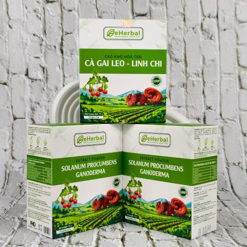 Cao Khô Hòa Tan Cà Gai Leo Linh Chi (Hộp 15 gói x 5g)