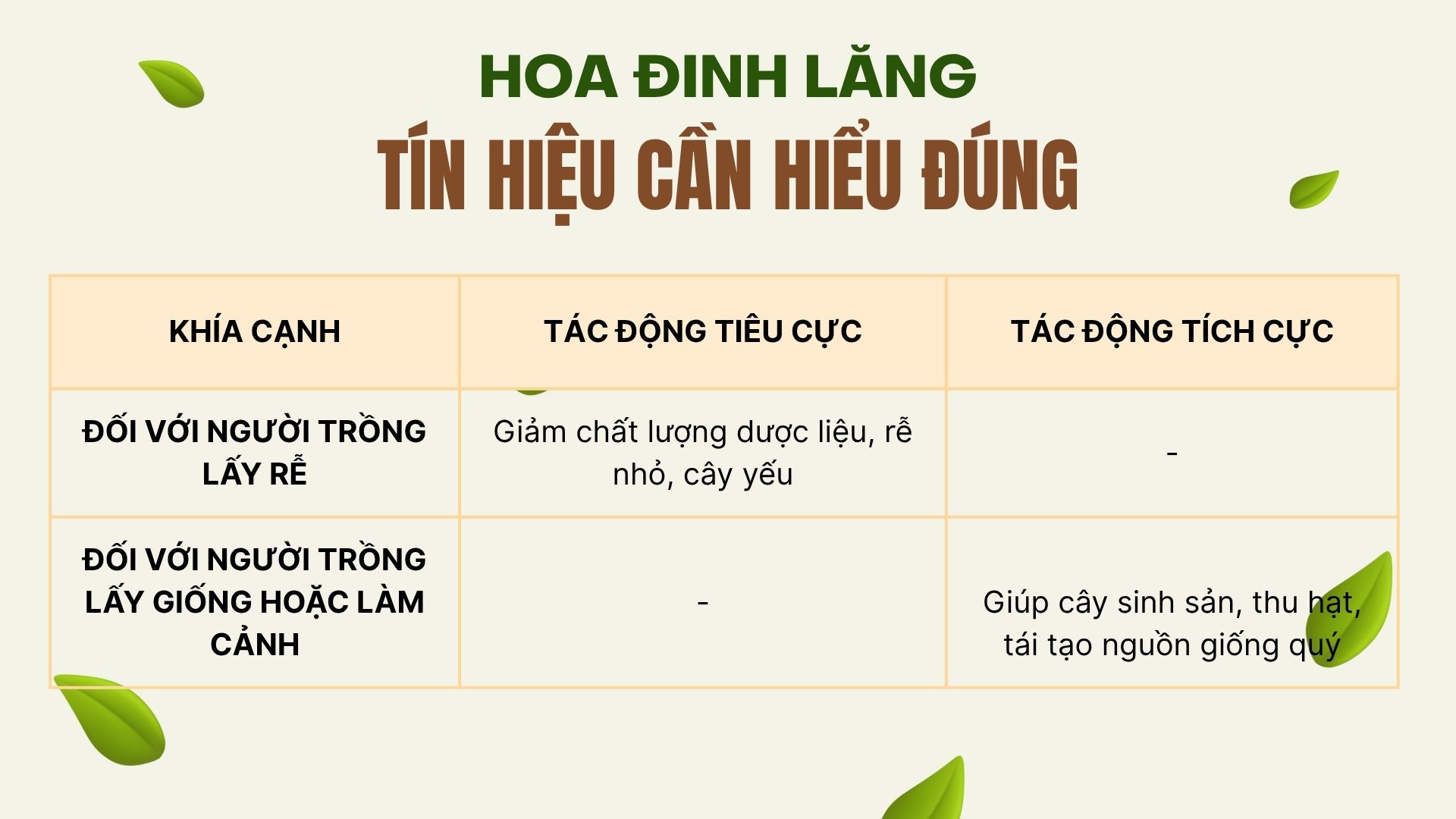 Ra hoa – tín hiệu cần hiểu đúng