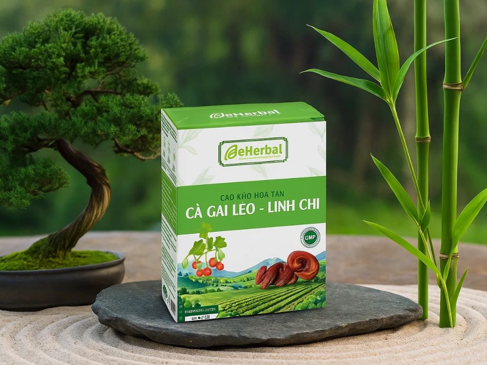 1. Cảm nhận đầu tiên khi tiếp xúc