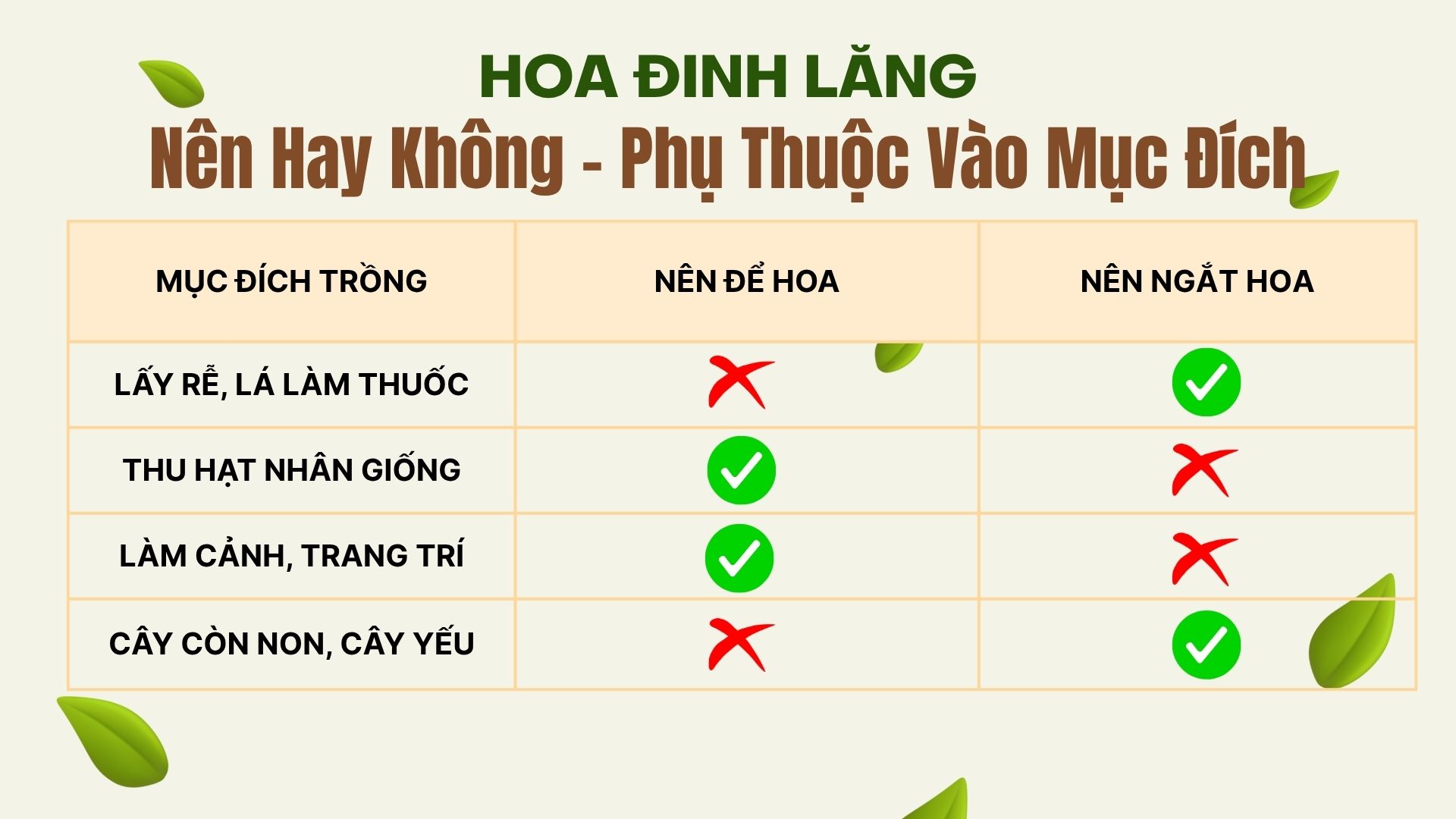 4. Cách nhận biết thời điểm nên ngắt hoa