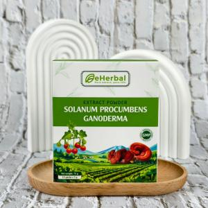 Cao Khô Hòa Tan Cà Gai Leo Linh Chi (Hộp 15 gói x 5g)