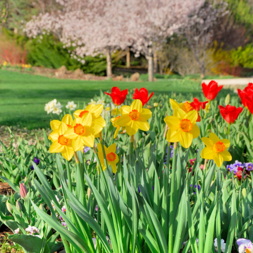 Session 23 - Unit 10: Appearance and Personality