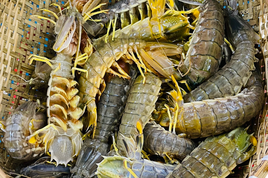 Thành phần nguyên liệu