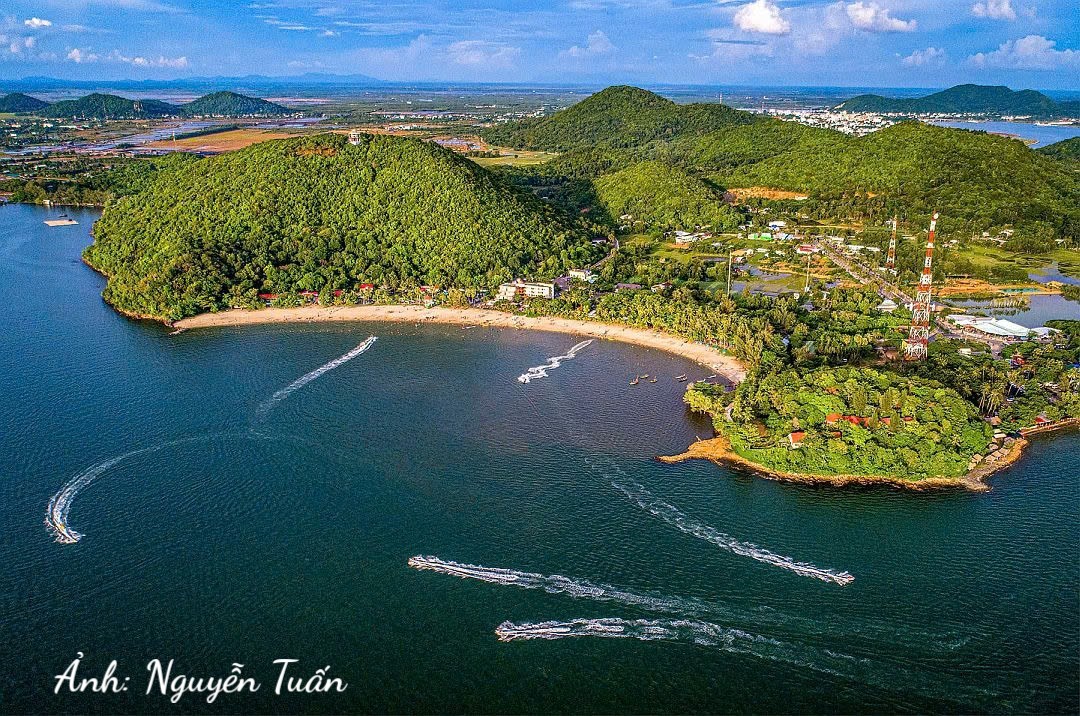 Tổng quan