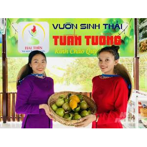 Vườn Sinh Thái Tuấn Tường - Điểm Tham Quan, Du Lịch Nông Nghiệp Hấp Dẫn