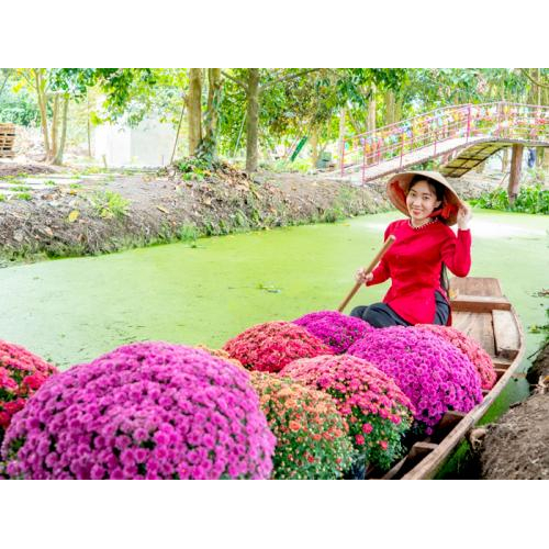 Hơi thở của cuộc sống miền Tây