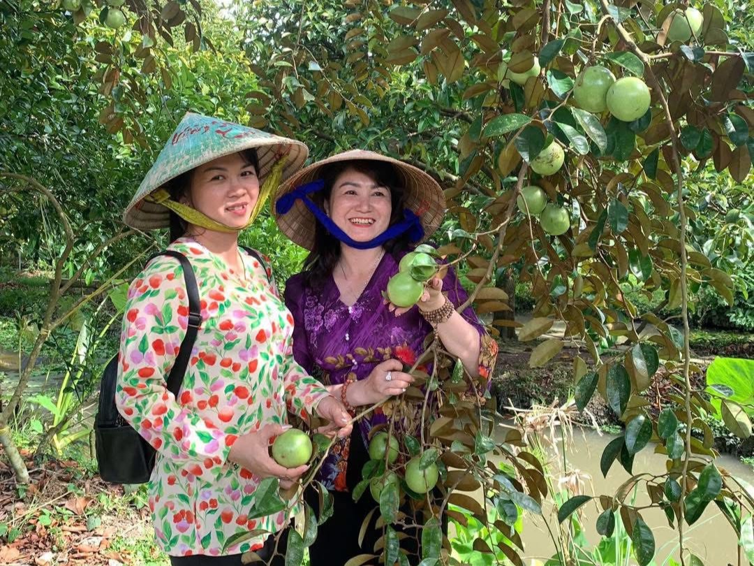 Hương vị vú sữa lò rèn – Đặc sản trứ danh miền sông nước