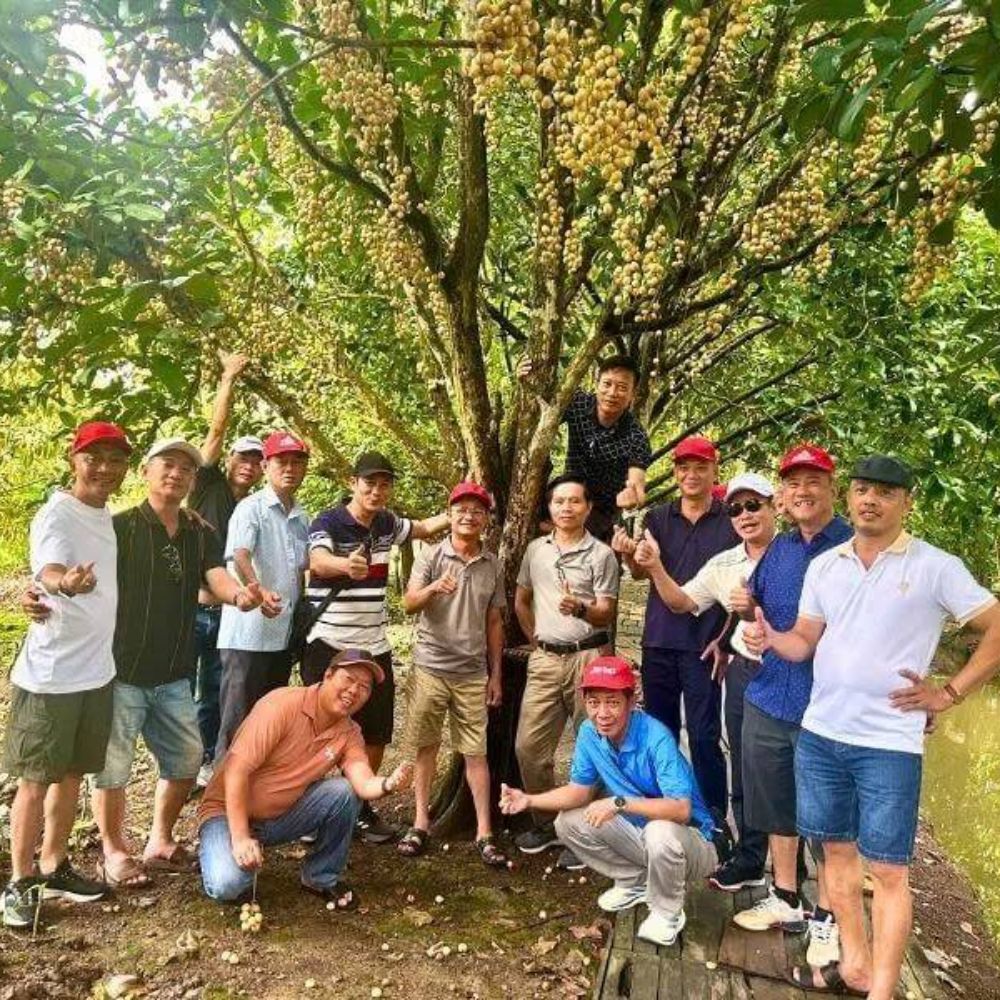 Hành Trình Trải Nghiệm Khó Quên Tại Vườn Sinh Thái Tuấn Tường