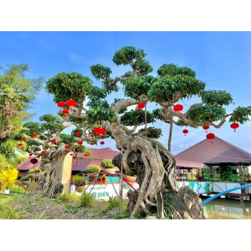 Điều Làm Nên Thương Hiệu Khu Du Lịch Phú Điền