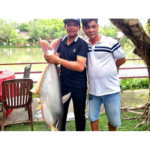 Cuối Tuần Phú Điền Có Gì Vui?