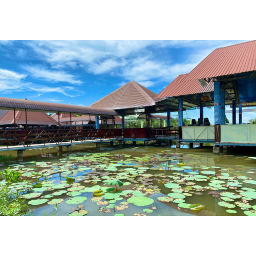 Du Lịch Sinh Thái Sân Vườn Tại Khu Du Lịch Phú Điền – Hơi Thở Xanh Giữa Lòng Phố Biển