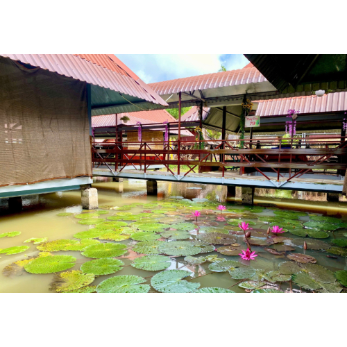 Du Lịch Sinh Thái Sân Vườn Tại Khu Du Lịch Phú Điền – Hơi Thở Xanh Giữa Lòng Phố Biển