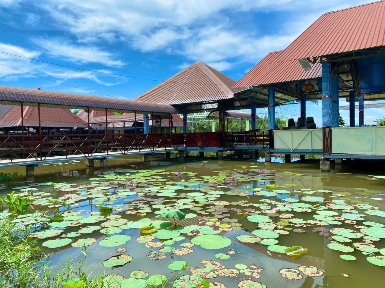 Tăng sự kết nối giữa con người và môi trường