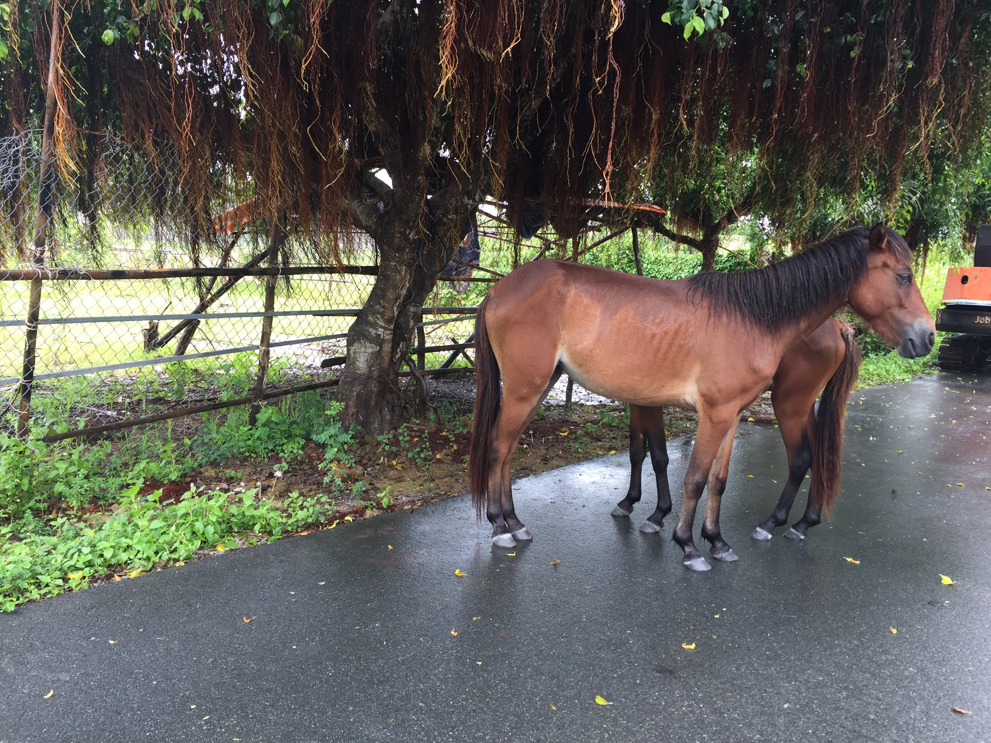 Tránh tình trạng “quá tải du lịch” và khám phá điểm đến một cách trọn vẹn