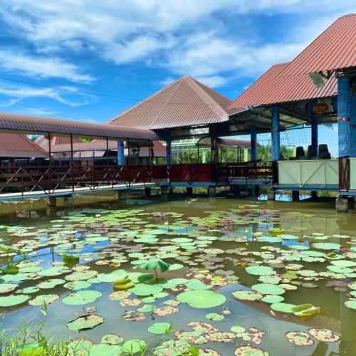 Phú Điền – Nơi Thiên Nhiên Thì Thầm Gọi Bước Chân Người Lữ Khách