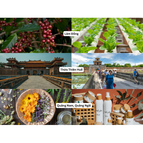 4. Những mô hình điển hình từ địa phương