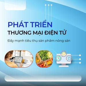 Điện Biên Triển Khai Phát Triển Thương Mại Điện Tử, Đẩy Mạnh Tiêu Thụ Sản Phẩm Nông Sản Chủ Lực