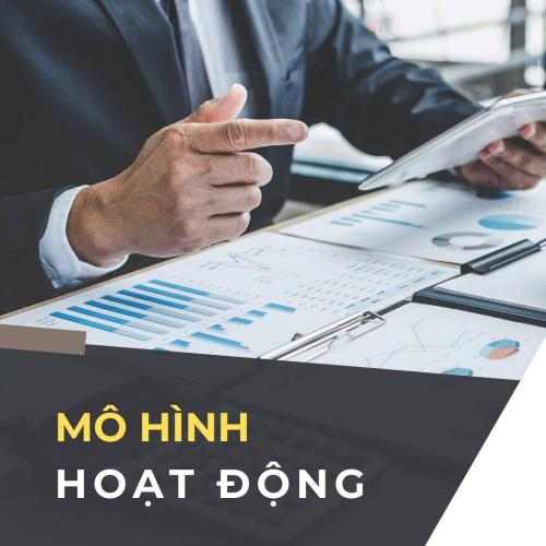 Tổng Quan Về Mô Hình Hoạt Động