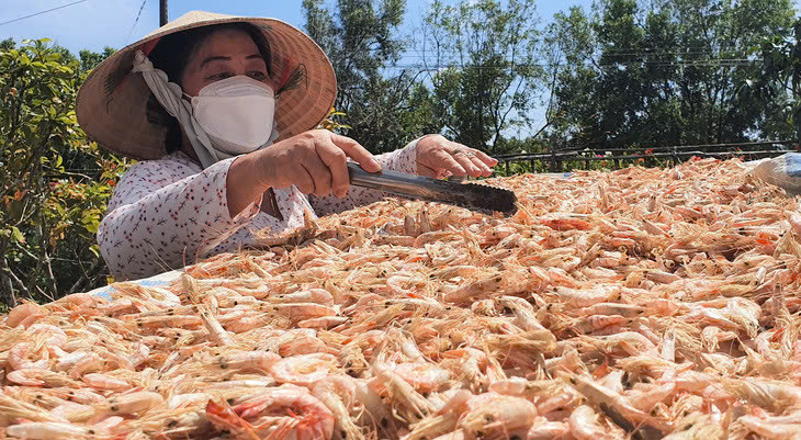 II. Bảo quản Tôm Khô đúng cách