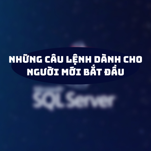 Những Câu Lệnh SQL Phổ Biến Nhất Dành Cho Người Mới Bắt Đầu