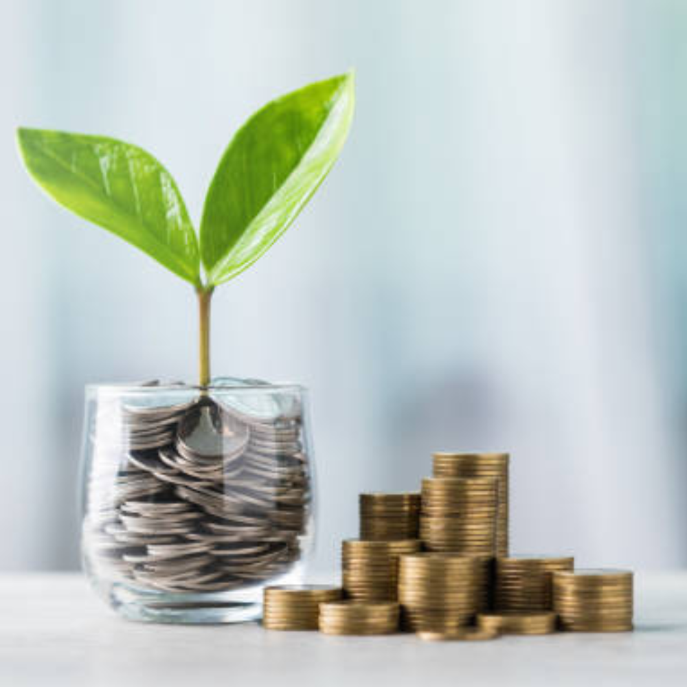 Những Khoản Phí Mà Chủ Website Không Bao Giờ Được Tiết Kiệm