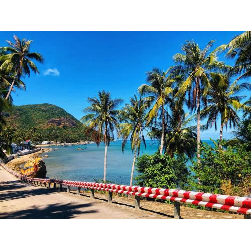 Hoạt động vui chơi, giải trí