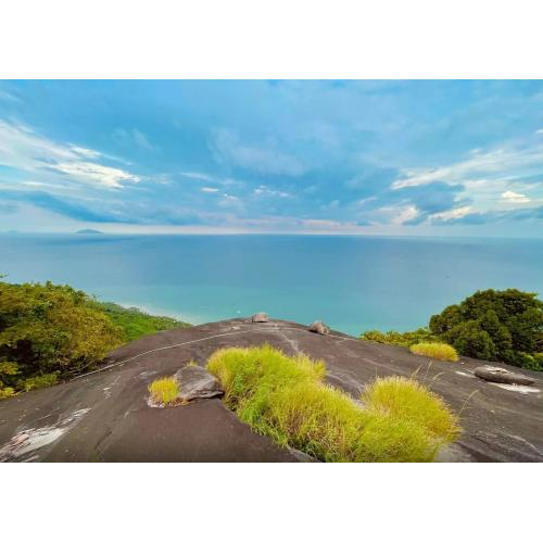 Hoạt động vui chơi, giải trí