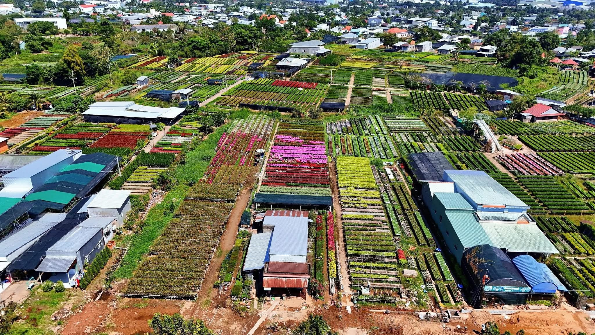 1. Tổng quan lễ hội