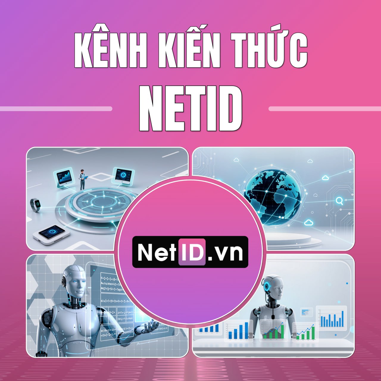Kiến Thức Về NetID