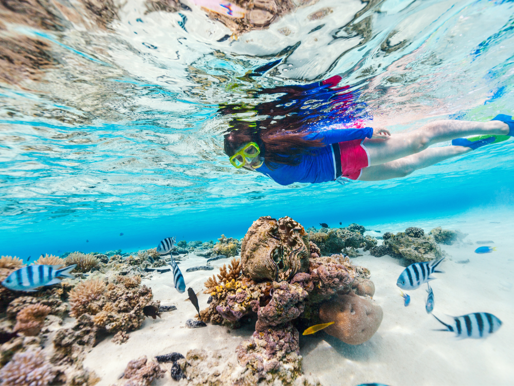 Lặn biển ngắm san hô