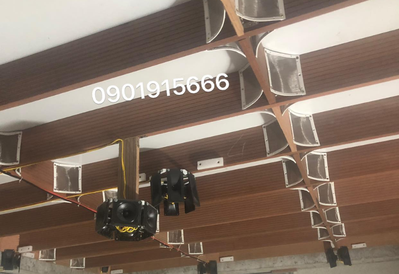 Phân biệt các loại nuôi yến phổ biển hiện nay