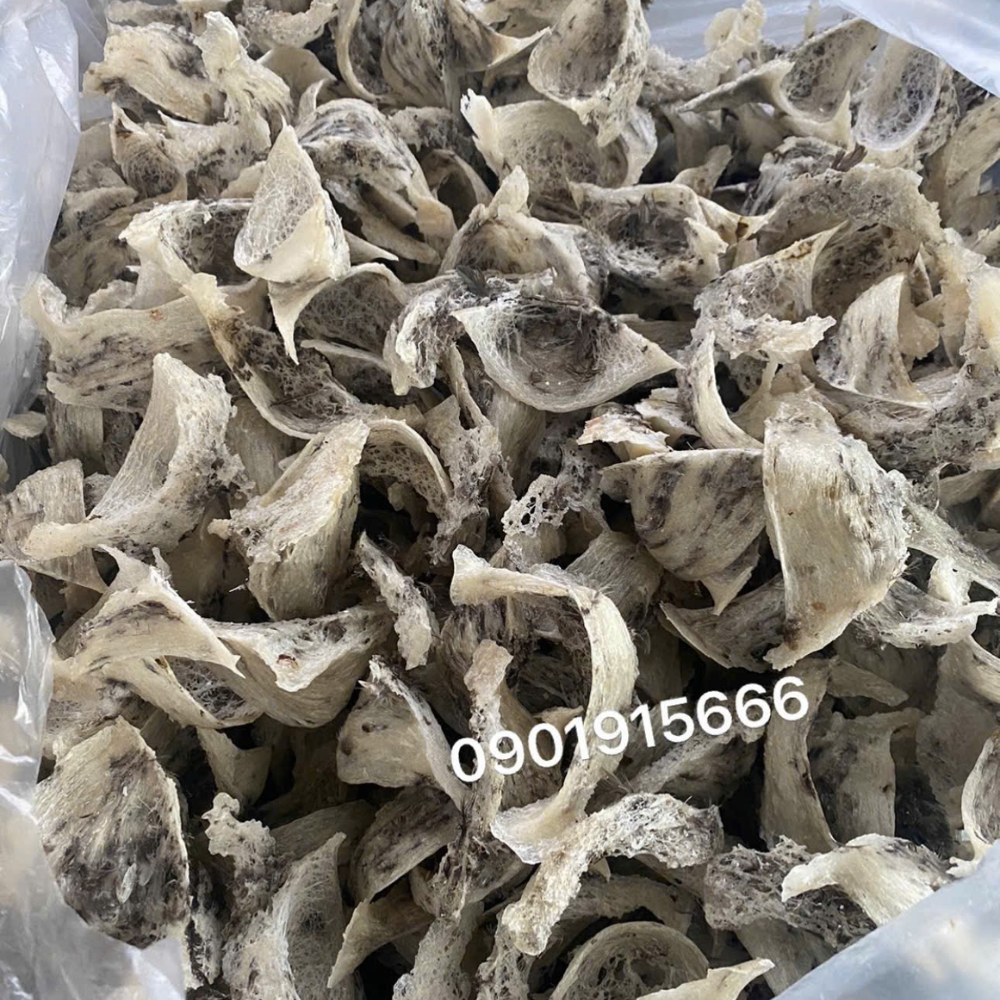 Lợi Ích Các Thiết Bị Hỗ Trợ Khi Nuôi Yến