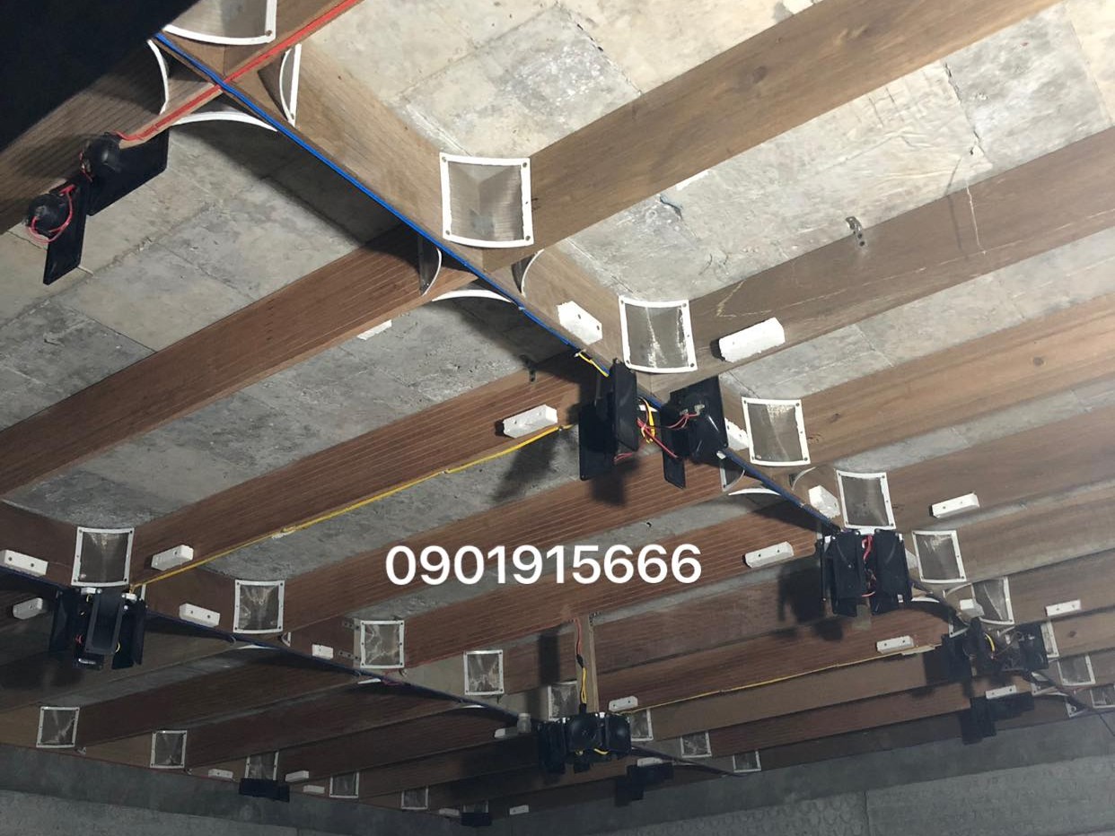 Các bước vệ sinh loa nhà yến đúng cách