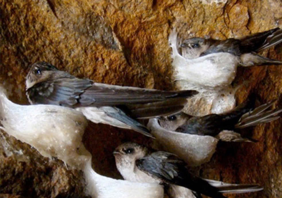 Sử dụng đúng cách giúp mùi hương lan tỏa tự nhiên và hấp dẫn