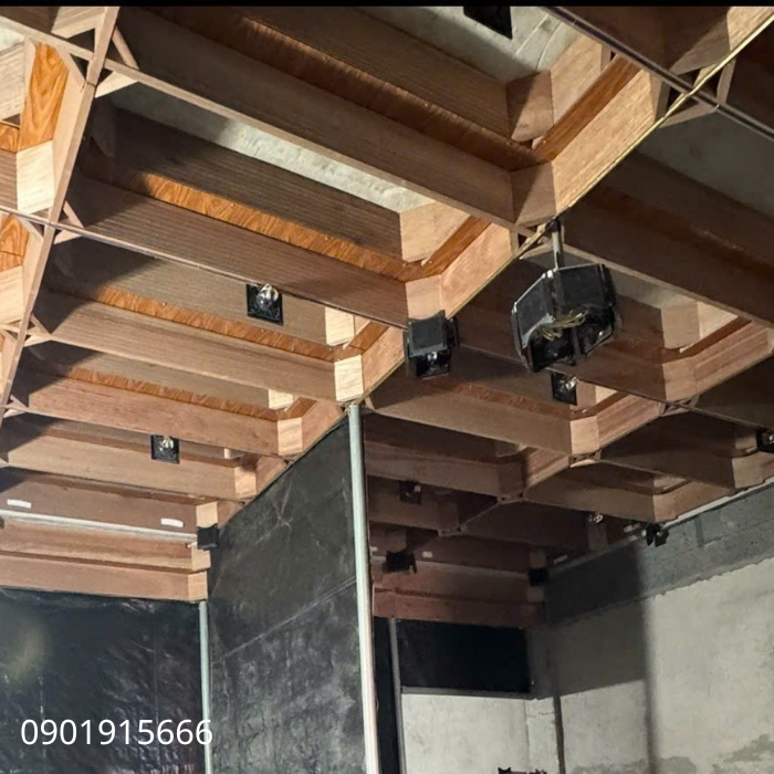 Vì Sao Loa Dẫn Dụ Đóng Vai Trò Quan Trọng Trong Việc Thu Hút Chim Yến?