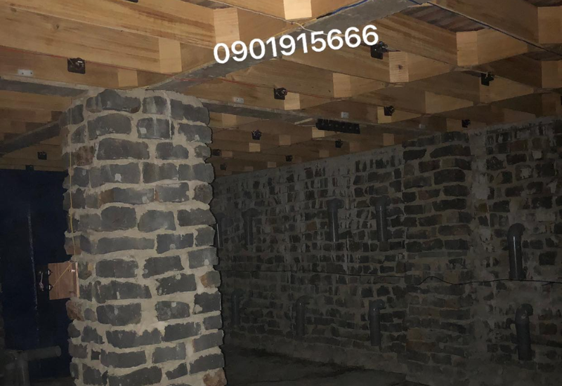 Quản lý và bảo vệ nhà Yến khỏi kẻ thù tự nhiên