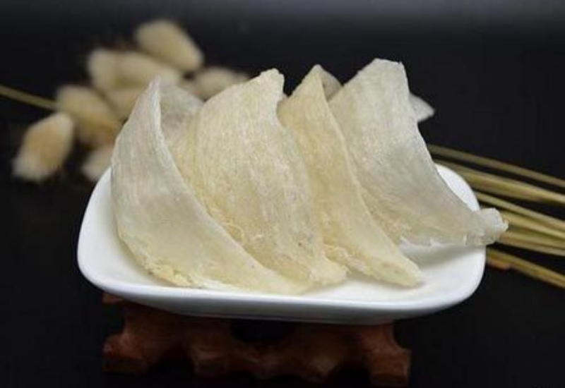 Quan sát trực tiếp tổ yến
